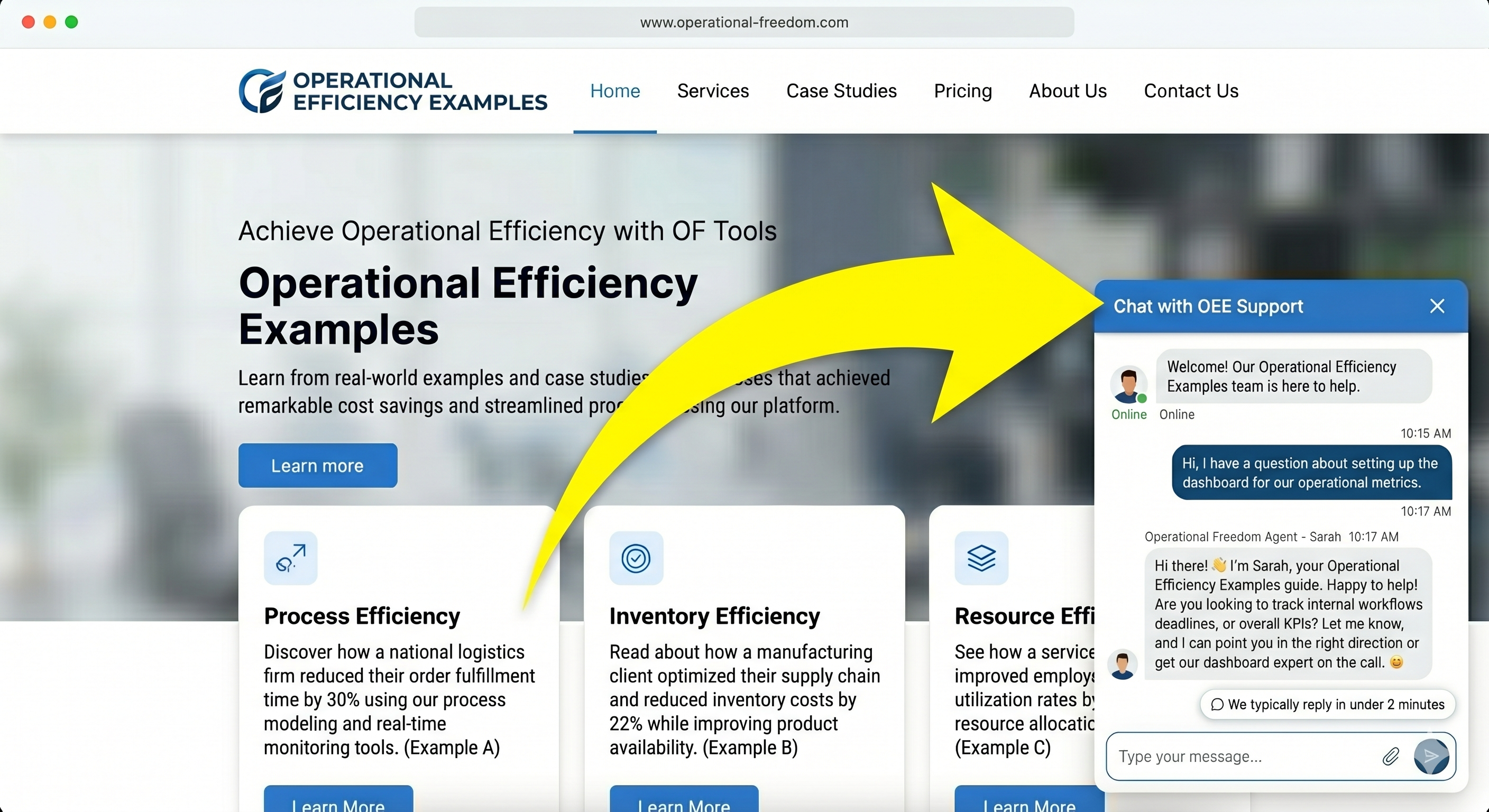 HUMAN Revenue Leak Fix Sprint™ — AI chat widget capturing leads